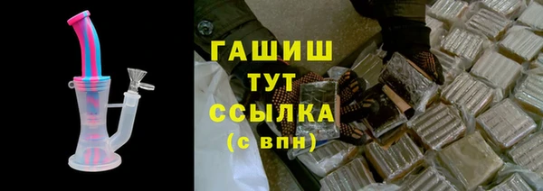индика Заводоуковск