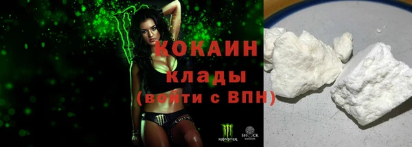 индика Заводоуковск