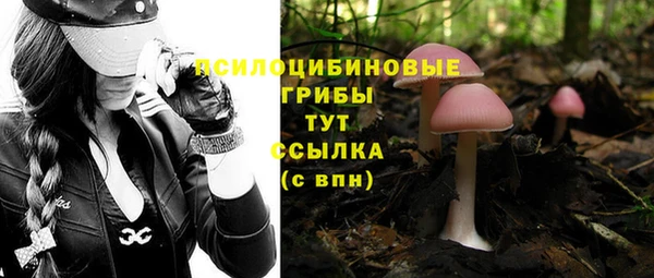 соль ск Ельня