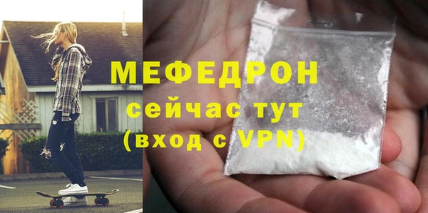 индика Заводоуковск