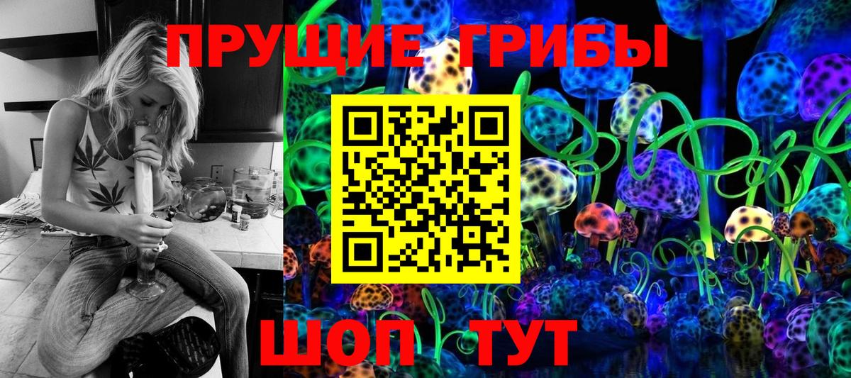 Псилоцибиновые грибы MAGIC MUSHROOMS  Вход с VPN  Галлюциногенные грибы Psilocybine cubensis  Одинцово 